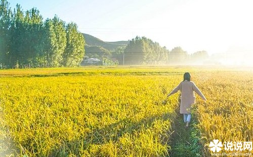 国庆节加班的心情说说_十一你们放假我加班的说说朋友圈